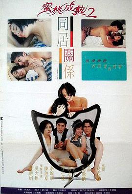 同居关系 (1993) 海报