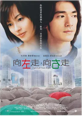 向左走·向右走[电影解说] (2003) 海报