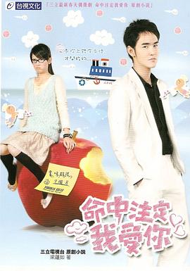 命中注定我爱你2008 (2008) 海报