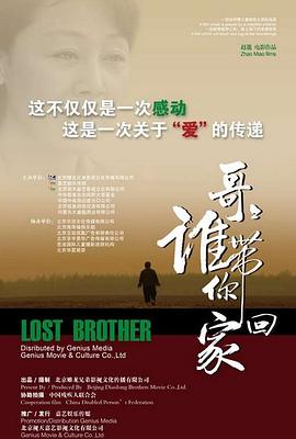 哥哥，谁带你回家 (2008) 海报