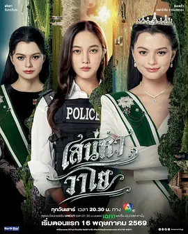四大元素之风之恋歌 (2026) 海报