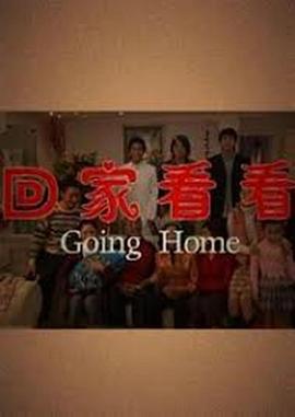 回家看看 (2003) 海报