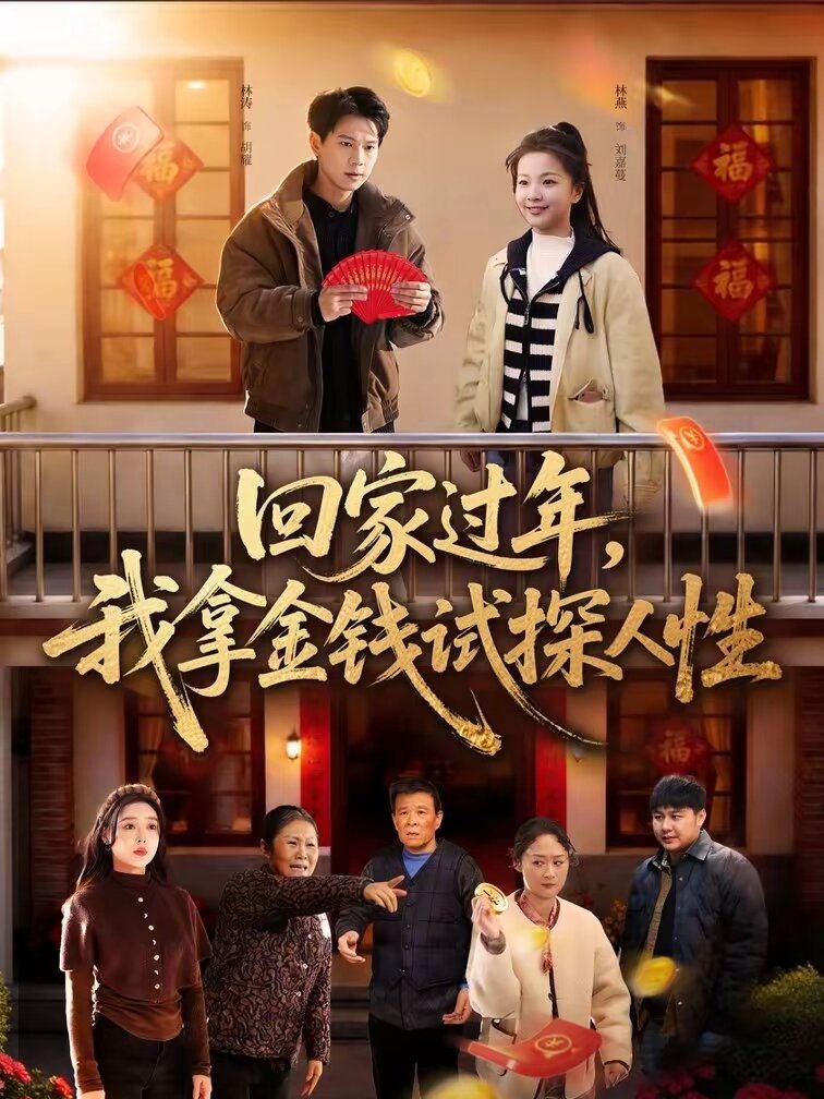 回家过年，我拿金钱试探人性 (2026) 海报