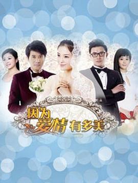 因为爱情有晴天 (2013) 海报