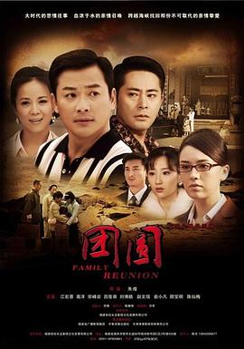 团圆-2010 (2010) 海报