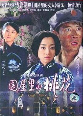 围屋里的桃花 (2008) 海报