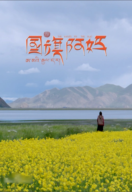 国旗阿妈 (2013) 海报