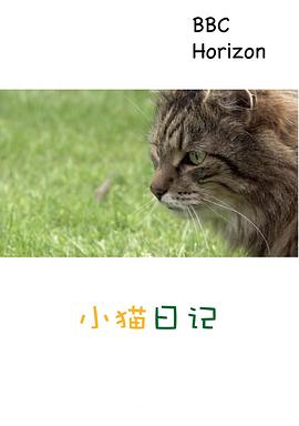 地平线系列：小猫日记 (2013) 海报