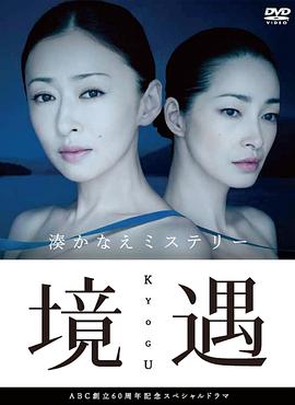 境遇 (2011) 海报