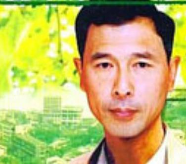 夏季无风 (1998) 海报