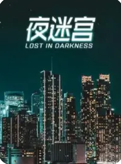 夜迷宫 (2012) 海报