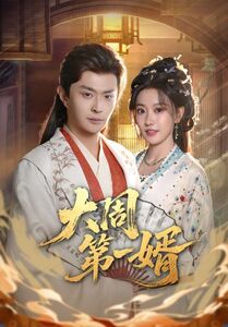 大周第一婿 (2026) 海报