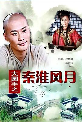 大国手之秦淮风月 (2011) 海报