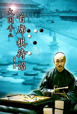 大国手之首席棋待诏 (2011) 海报