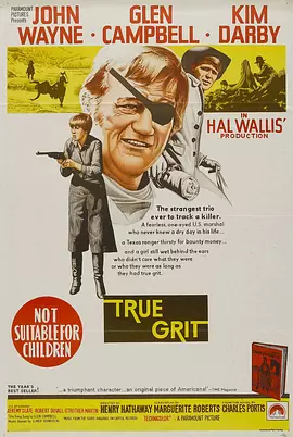 大地惊雷1969[电影解说] (1969) 海报