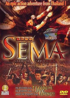 大城武士 (2003) 海报