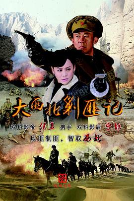大西北剿匪记 (2017) 海报