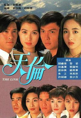 天伦国语1993 (1993) 海报