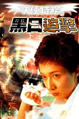 天使特务之黑日追击 (2001) 海报