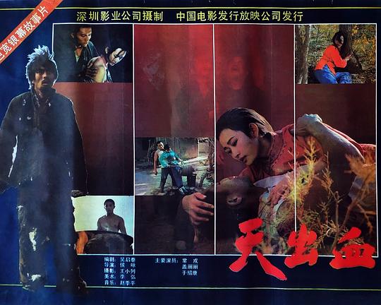 天出血 (1991) 海报