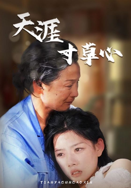 天涯寸草心 (2024) 海报