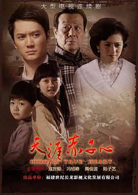 天涯赤子心 (2010) 海报