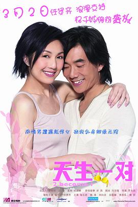 天生一对 (2006) 海报