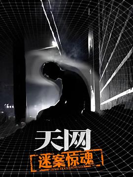 天网:迷案惊魂 (2025) 海报