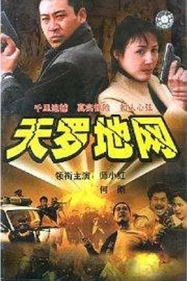 天罗地网 (2002) 海报
