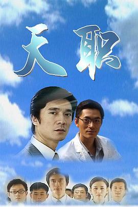 天职 (2009) 海报