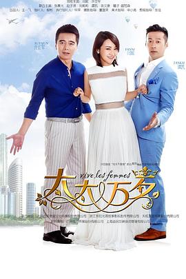 太太万岁2016 (2016) 海报