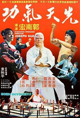 太极气功 (1978) 海报