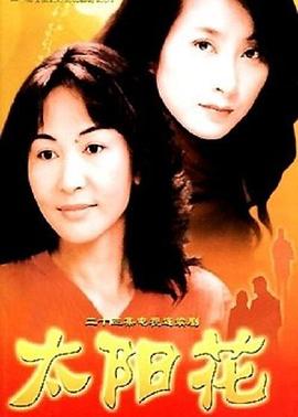 太阳花2004 (2004) 海报