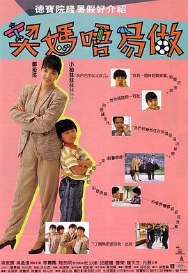 契妈唔易做 (1991) 海报