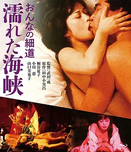 女人的小道：濡湿海峡[电影解说] (1980) 海报