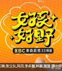 女孩好野第二季 (2025) 海报