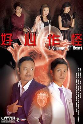 好心作怪2013国语 (2013) 海报