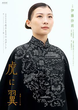 如虎添翼 (2024) 海报