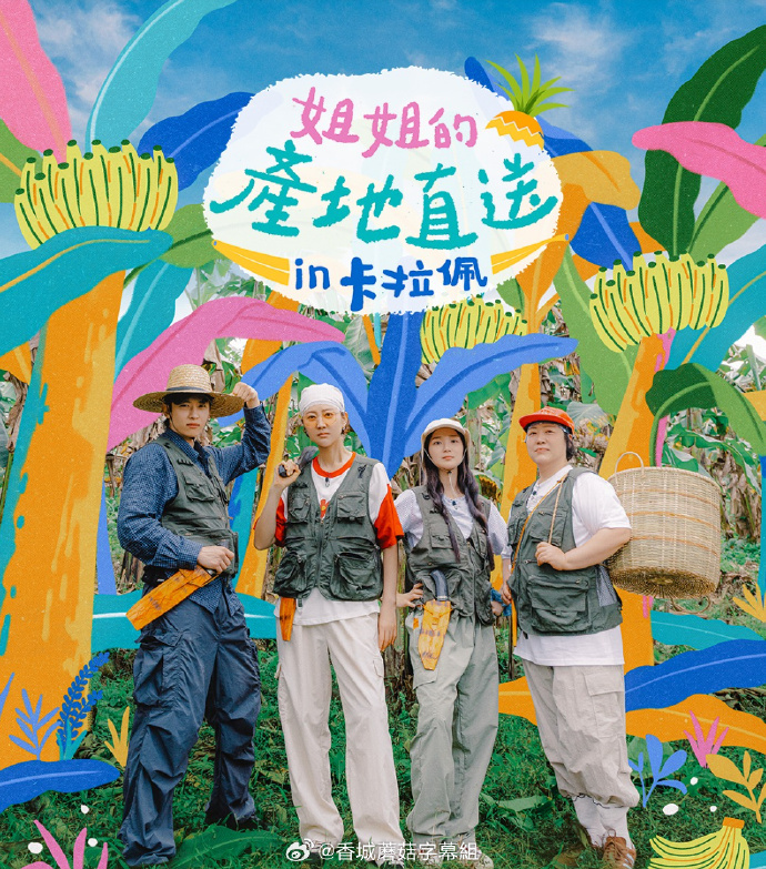 姐姐家的产地直送3 (2026) 海报