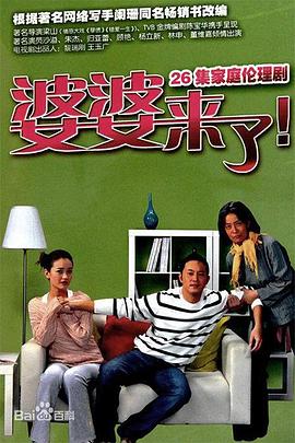 婆婆来了2011 (2011) 海报