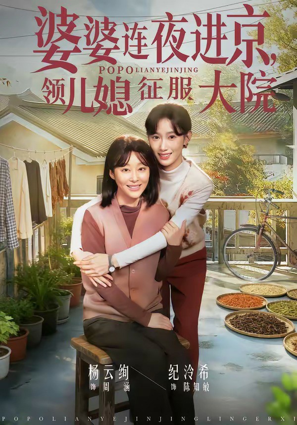 婆婆连夜进京，领儿媳征服大院 (2026) 海报