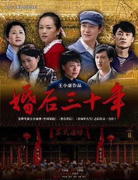 婚后三十年2009 海报