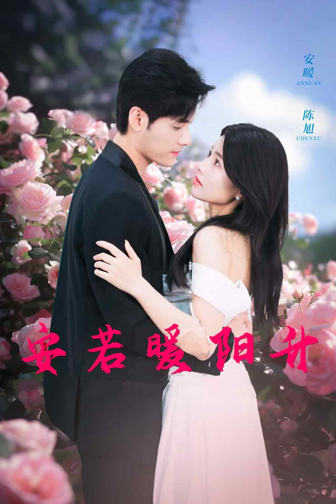 安若暖阳升 (2025) 海报