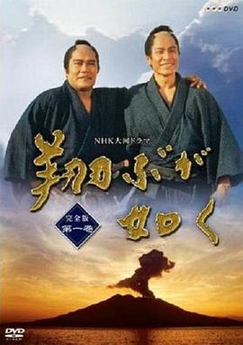 宛如飞翔 (1990) 海报