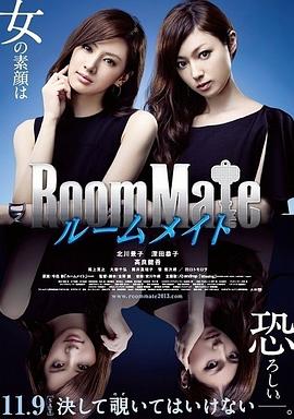 室友 (2013) 海报