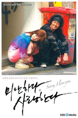 对不起，我爱你2004 (2004) 海报
