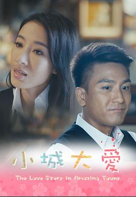 小城大爱系列剧粤语 (2016) 海报