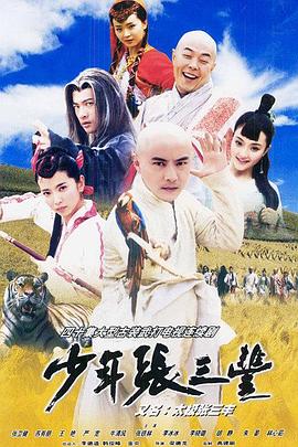 少年张三丰国语 (2001) 海报