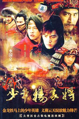 少年杨家将 (2006) 海报