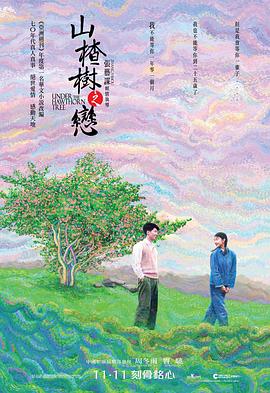山楂树之恋2010 (2010) 海报